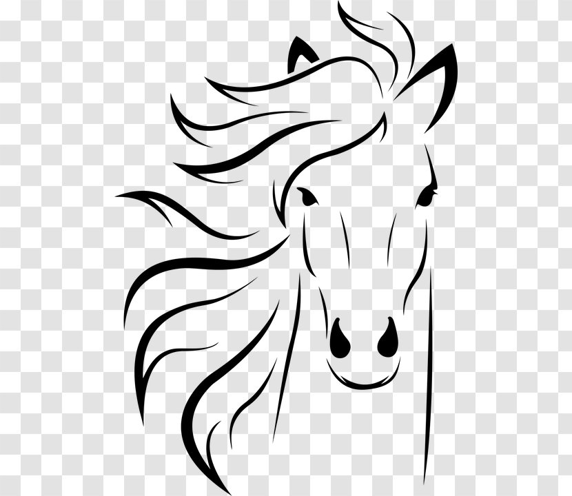 Arabian Horse Stallion Line Art Drawing Clip - Show Jumping Transparent PNG
