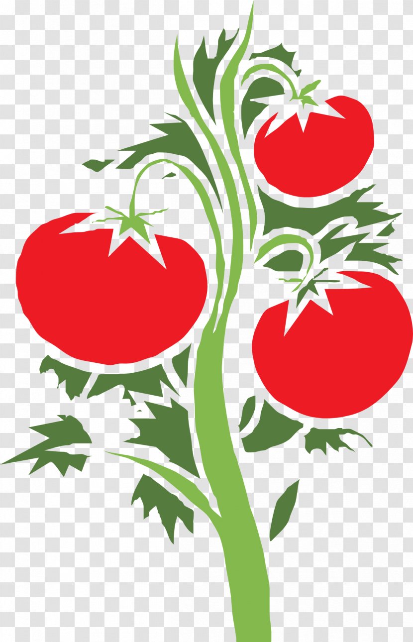 Cherry Tomato Plant Clip Art - Grass Transparent PNG