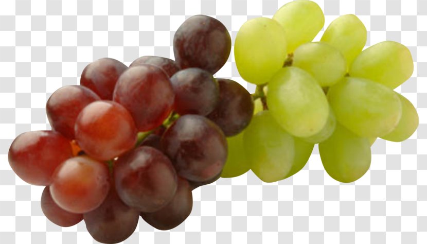 Common Grape Vine Seed Oil Raisin Fruit - Platter Transparent PNG