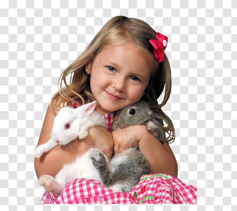 Easter Week Day WhatsApp Message - Hamster - Bom Dia Transparent PNG