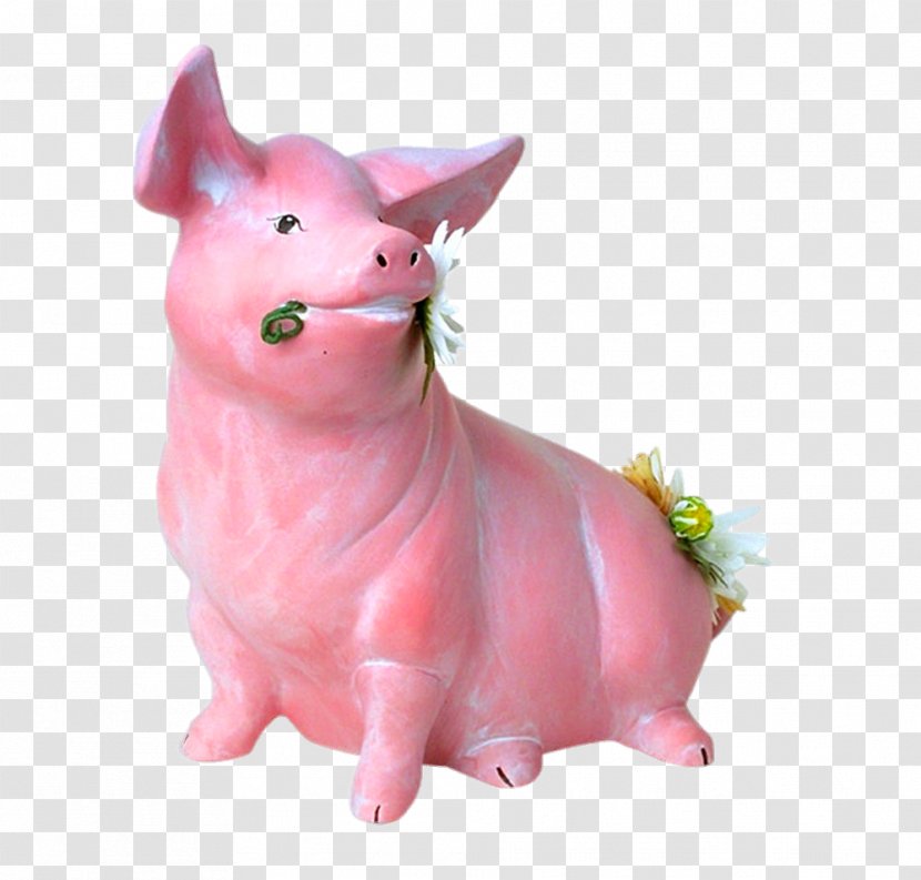 Domestic Pig Piggy Bank Dog - Like Mammal - Cute Boar Transparent PNG