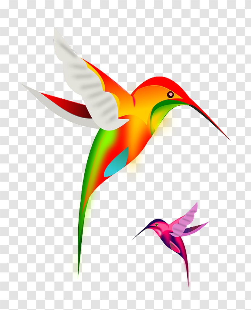 Hummingbird Clip Art - Organism - Flor Transparent PNG