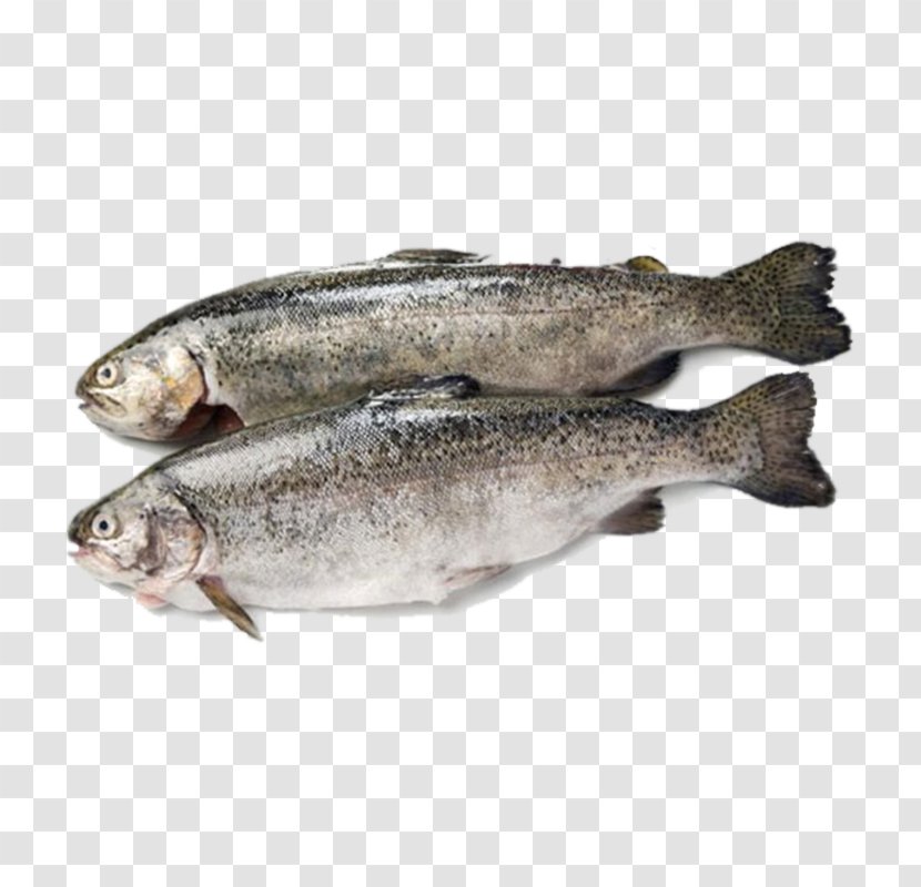 Fish Products Rainbow Trout Sardine - Cod Transparent PNG