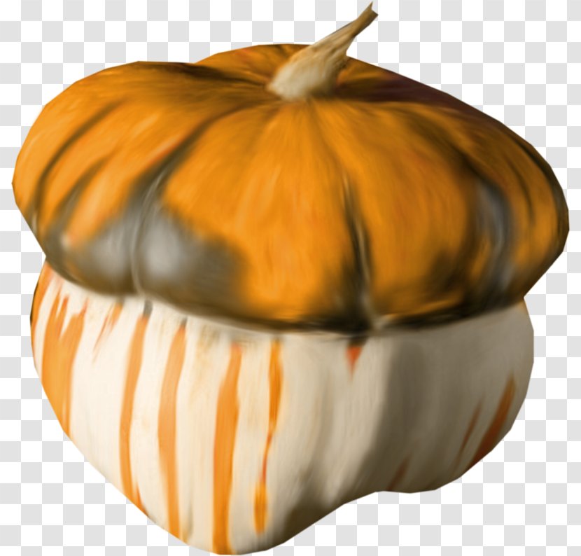Pumpkin Gourd Transparent PNG