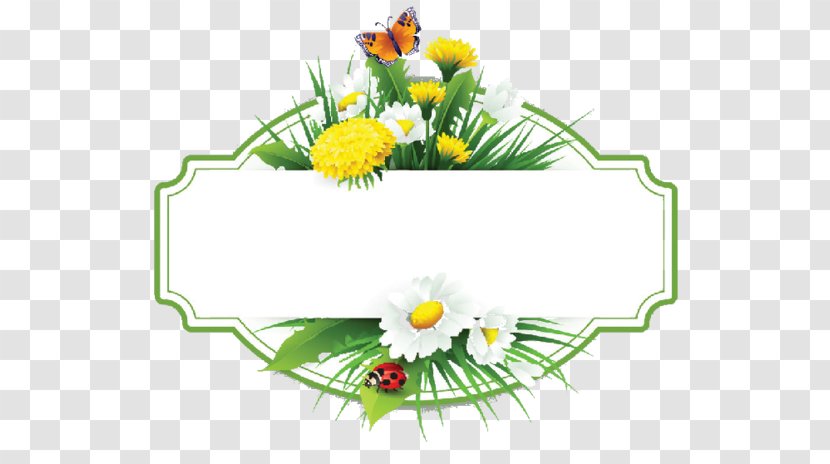 Flower Paper Floral Design Clip Art - Common Daisy Transparent PNG