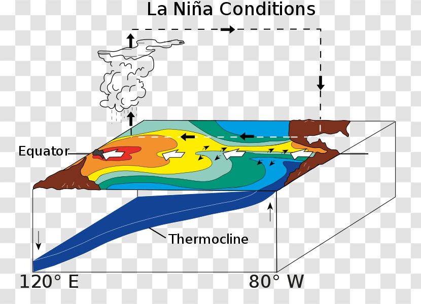 Pacific Ocean El Niño–Southern Oscillation La Niña Trade Winds - Diagram - Text Transparent PNG