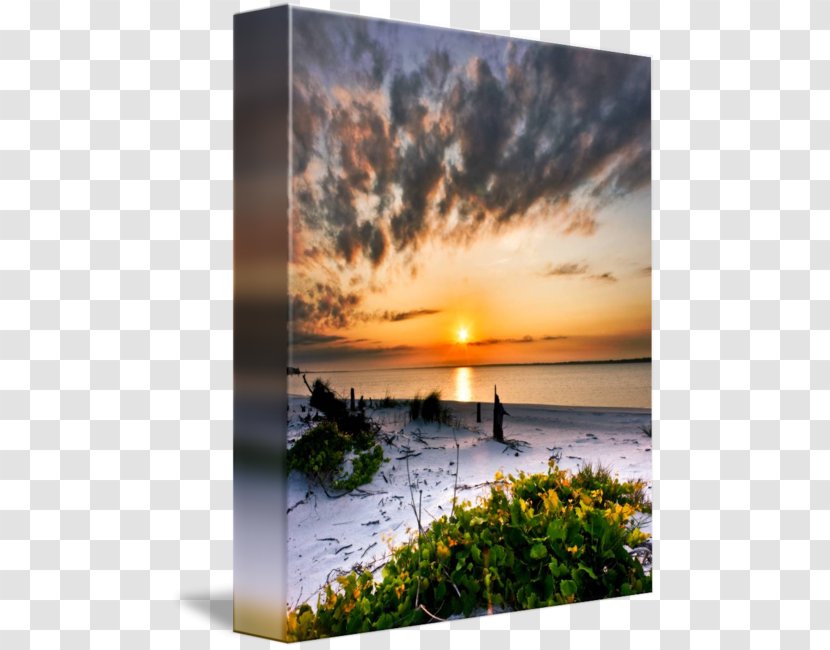 Shore Work Of Art Beach Sea - Sunrise - At Sunset Transparent PNG