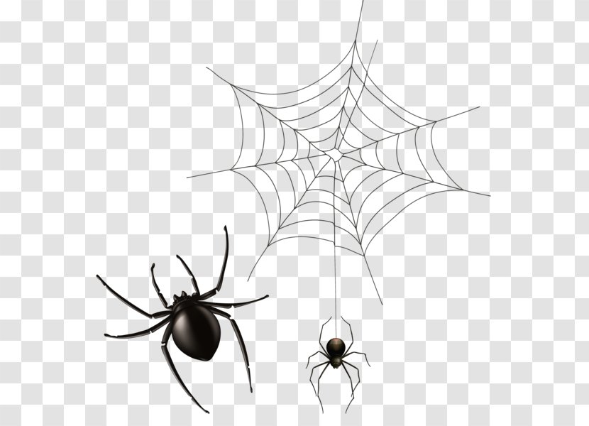 Spider Web Clip Art - Black And White Transparent PNG