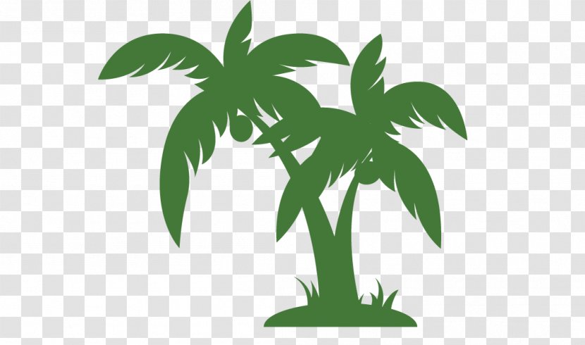 Arecaceae Tree Clip Art - Pictures Of Palms Trees Transparent PNG