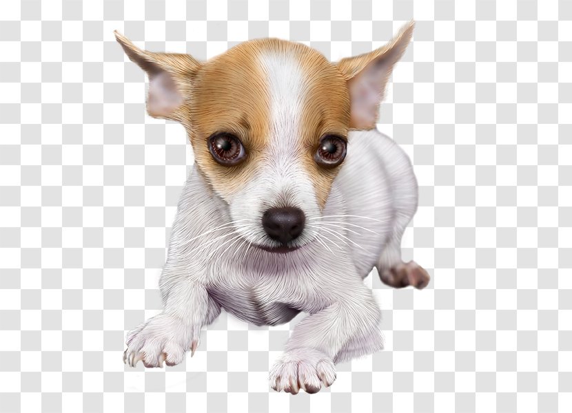 Chihuahua Puppy Dog Breed Toy Fox Terrier Tenterfield - Paw - Watercolor Dogs Transparent PNG