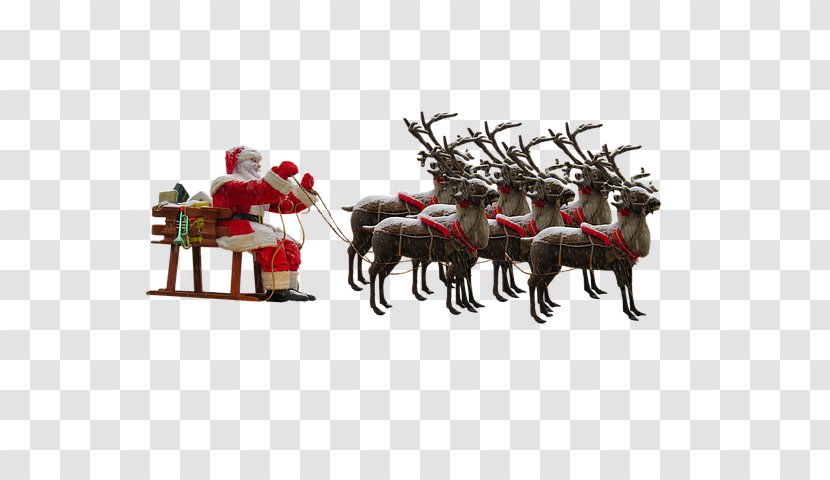 Santa Claus's Reindeer Mrs. Claus - Sled Transparent PNG