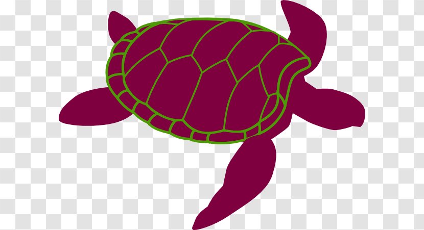 Sea Turtle Reptile Clip Art Drawing - Chippy Transparent PNG