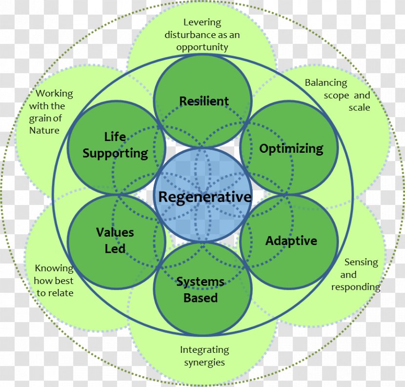 The Nature Of Business: Redesign For Resilience Research Biomimetics Bionics - Technology - My Smorgasbord Transparent PNG