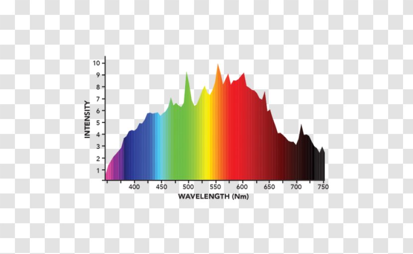 Incandescent Light Bulb Ceramic Discharge Metal-halide Lamp Grow - Sodiumvapor - Stakes Vector Transparent PNG