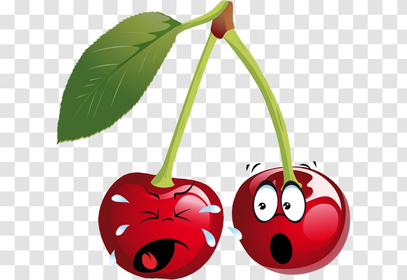 Cherry Cartoon Smiley Clip Art - Flowering Plant Transparent PNG