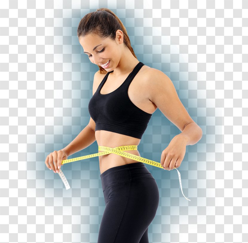 Waist Weight Loss Abdominal Obesity Adipose Tissue CoolCurve Clinics - Flower - Body Curve Transparent PNG