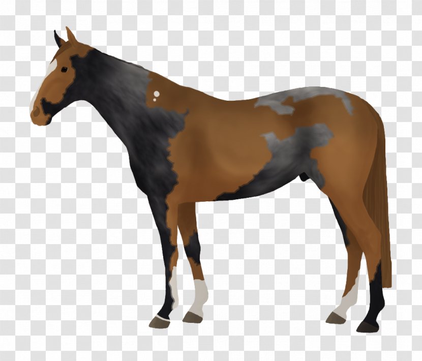 Thoroughbred Stallion Mare Horse Tack Racing - Rein - Curry Bowl Transparent PNG