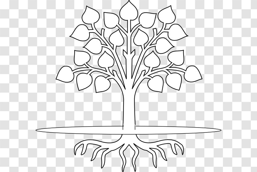 Tree Root Branch Drawing Clip Art - Flower - Roots Clipart Transparent PNG