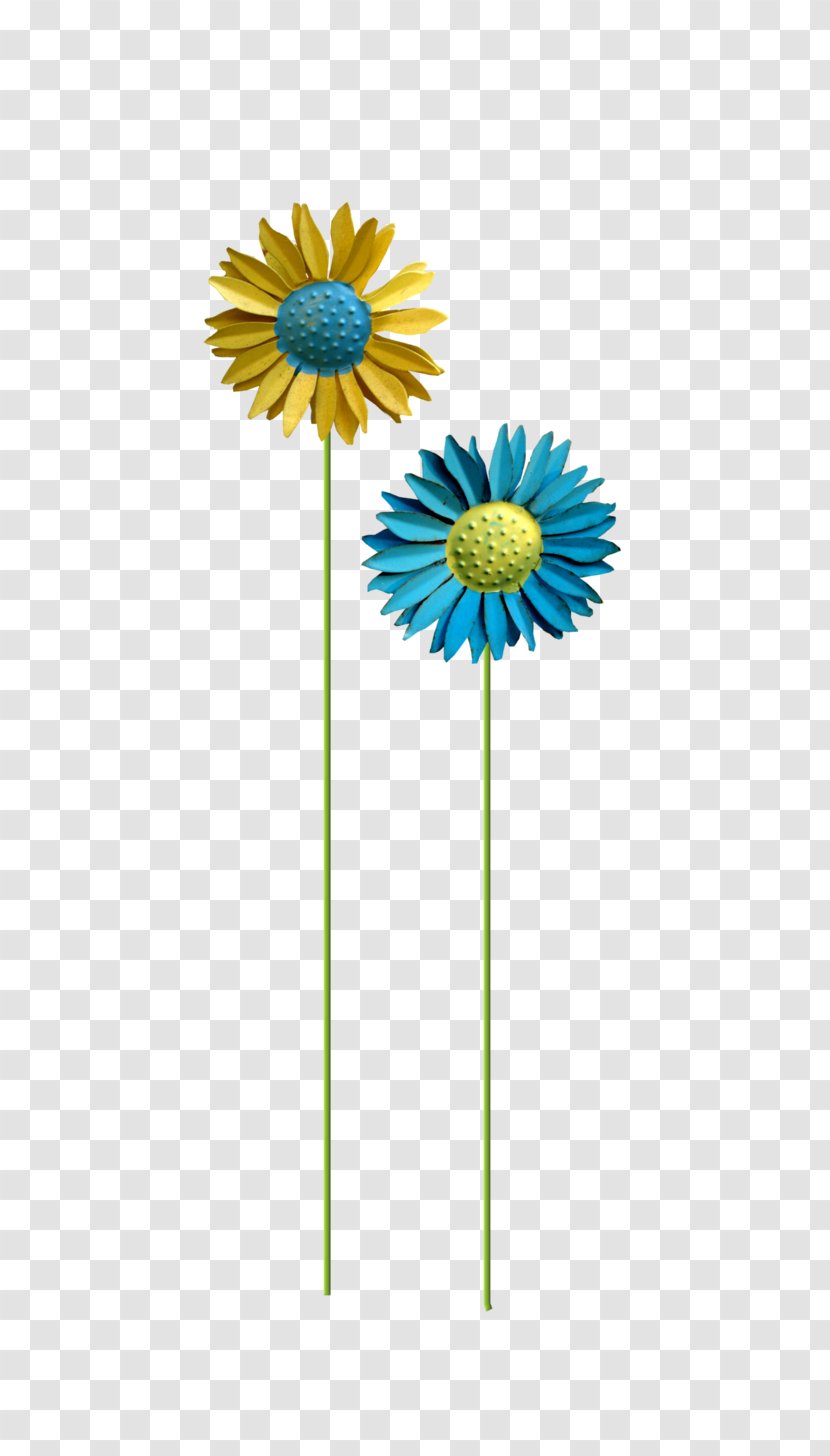 Cut Flowers Daisy Family Transvaal Common Sunflower - Flower - Fun Heung Hoi Transparent PNG