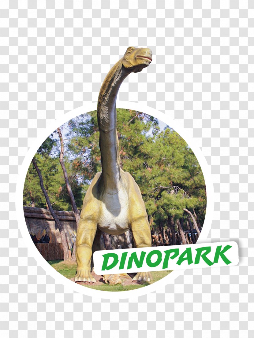 Dinosaur - Tree Transparent PNG