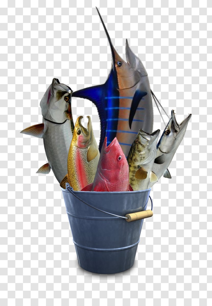 Shark Fish Icon - All Kinds Of Sharks Transparent PNG