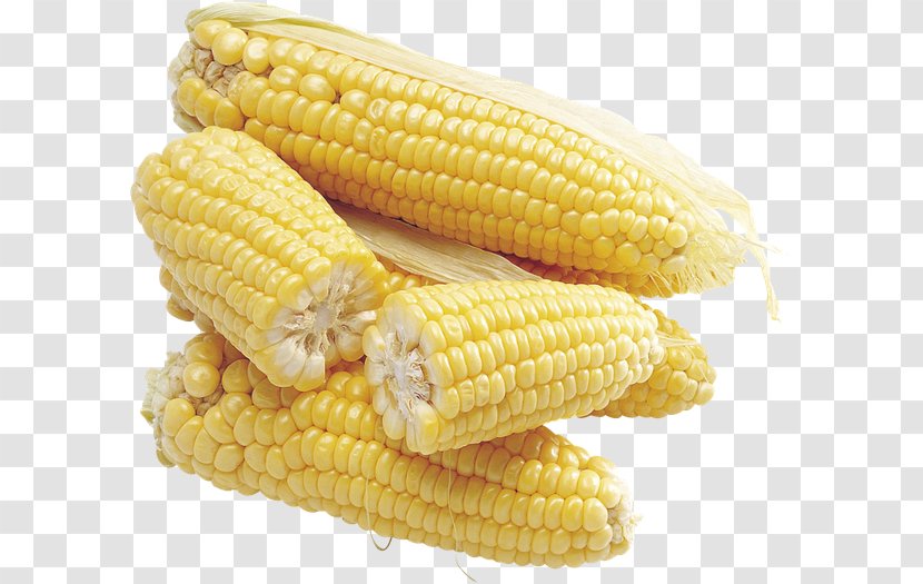 Corn On The Cob Maize Sweet Food - Sugar Transparent PNG