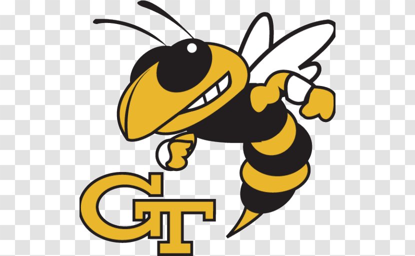 Georgia Institute Of Technology Tech Yellow Jackets Football Women's Basketball Men's NCAA Division I Bowl Subdivision - American Transparent PNG