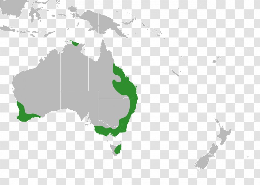 Australia Indonesia Globe World Map Transparent PNG