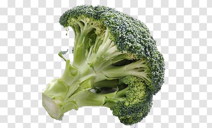Broccoli Vegetable Cauliflower - Free Image Pull Transparent PNG
