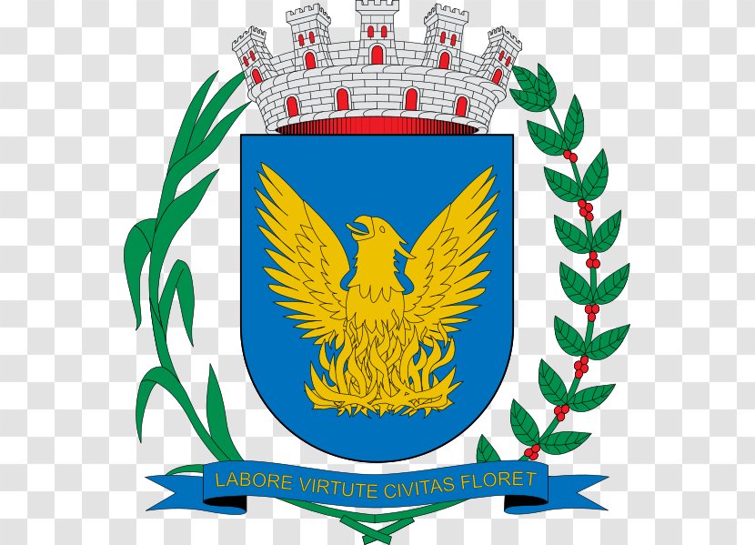 Brasão De Campinas Angostura Municipality, Sinaloa Coat Of Arms Escudo - Antioquia Department - Tattoos Ave Fenix Transparent PNG