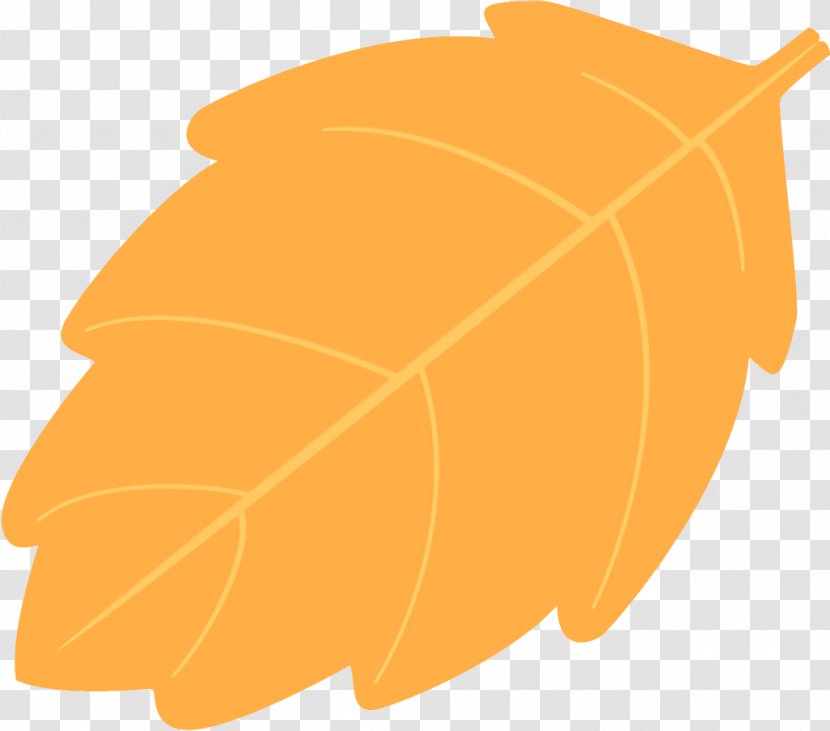 Autumn Leaf Fallen Dead - Plant - Tree Transparent PNG