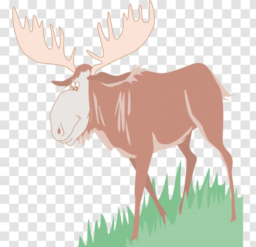 Moose Reindeer Clip Art - Cattle Like Mammal Transparent PNG