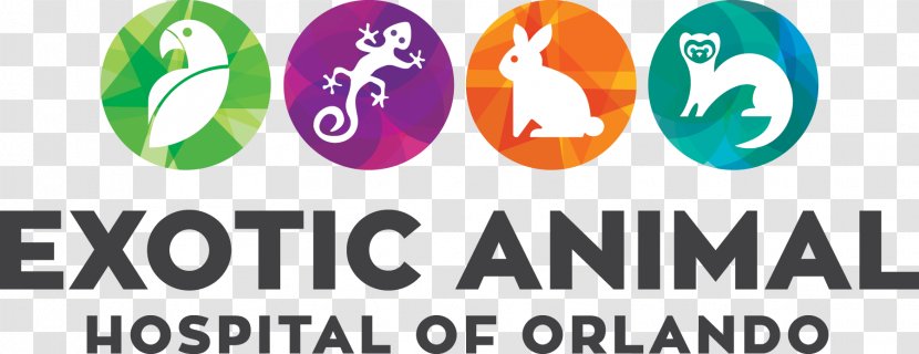 Exotic Animal Hospital Of Orlando Veterinarian Pet - Animals Transparent PNG