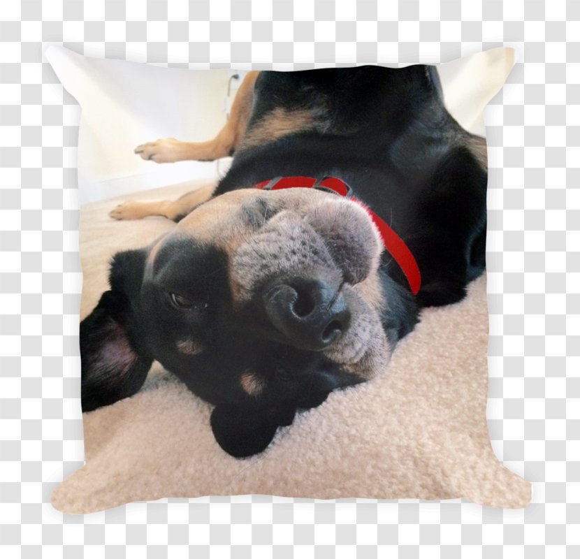 Dog Breed Pug Throw Pillows Cushion - Snout - Pillow Transparent PNG