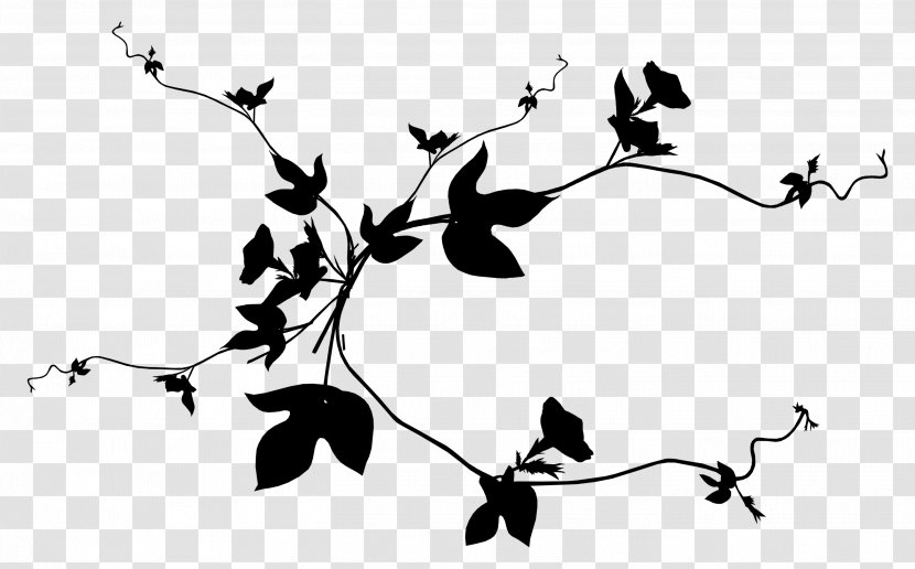 Black & White - Botany - M Clip Art Illustration Plant Stem Leaf Transparent PNG