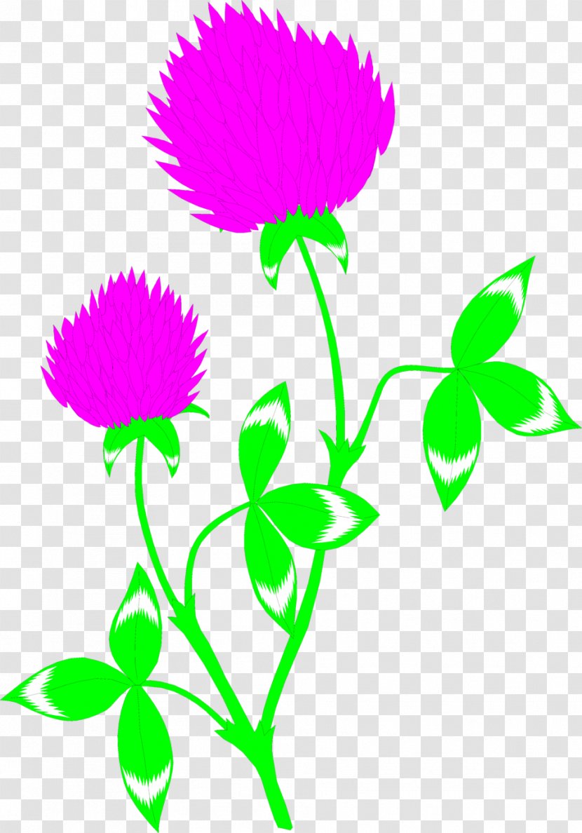 Red Clover Flower Clip Art - Stock Photography Transparent PNG