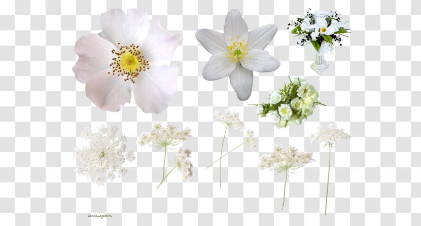 Floral Design Cut Flowers Floristry Rose - Flora - Flower Transparent PNG