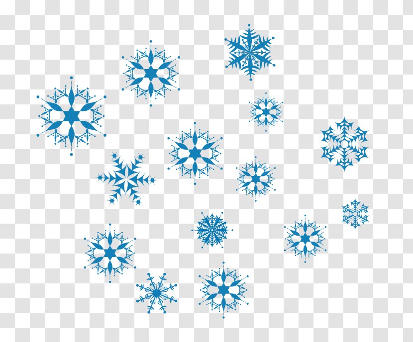 Photography Euclidean Vector Illustration - Character - Snowflakes Transparent PNG