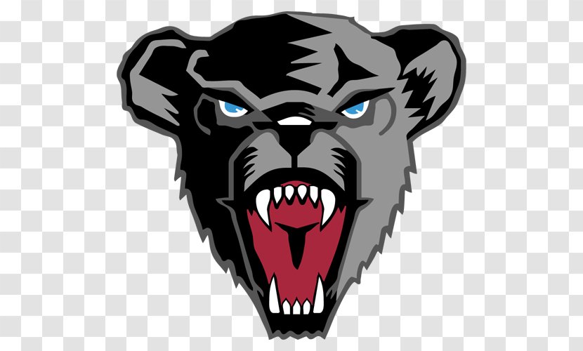 University Of Maine Black Bears Football Men's Ice Hockey Women's Basketball American Bear - Cartoon Transparent PNG