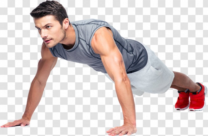 Push-up Strength Training Exercise Plank Triceps Brachii Muscle - Tree - Frame Transparent PNG