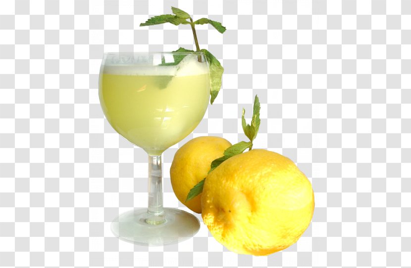 Orange Juice Cocktail Smoothie Drink - Garnish - A Glass Of Transparent PNG