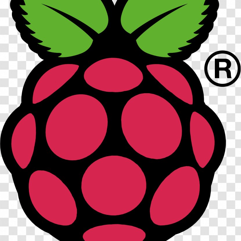Raspberry Pi 3 Raspbian Computer - Symmetry - Rasberry Transparent PNG