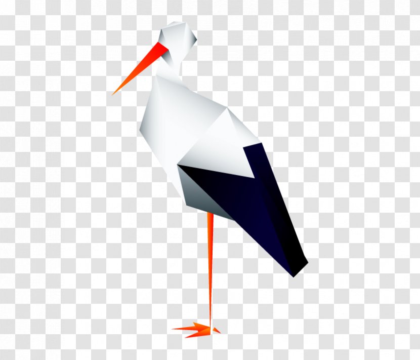 Wader White Stork Bird Beak Transparent PNG