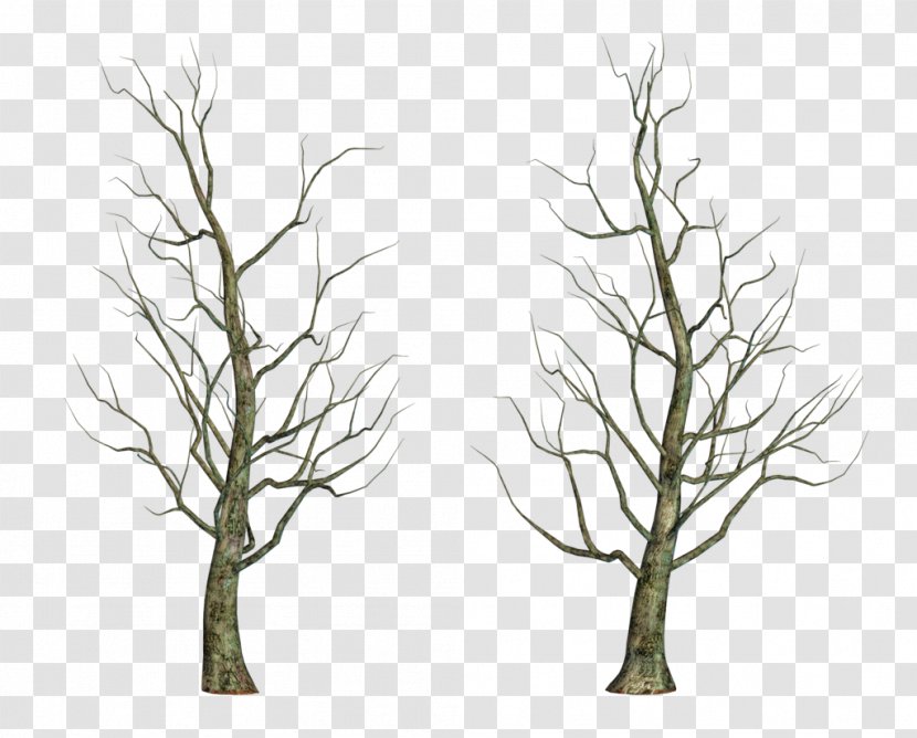 Tree Drawing Clip Art - Winter Trees Transparent PNG