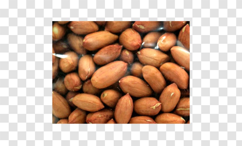 Peanut Food Commodity - Superfood - Foreign Transparent PNG