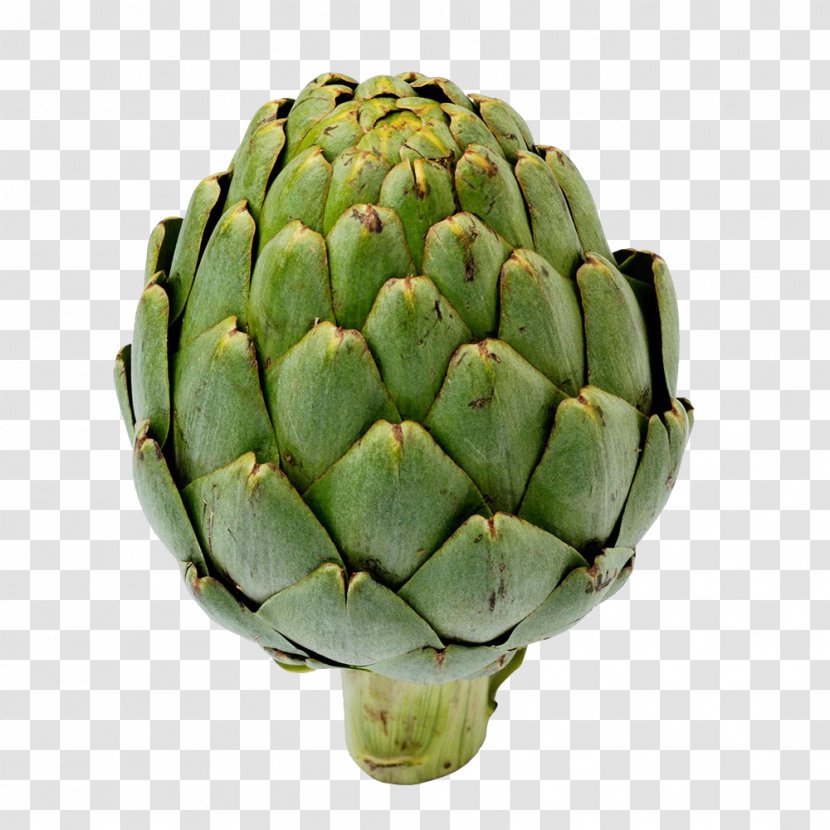 Artichoke Castroville Vegetable - Thistle - Fresh Artichokes Ball Transparent PNG