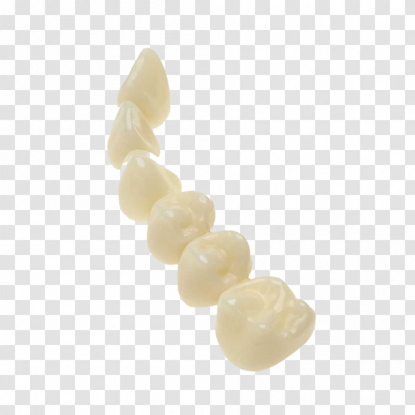 Human Tooth Dentistry 3D Printing - Crown - Dent Transparent PNG