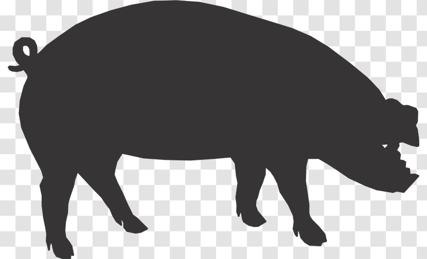 Pig Roast Cattle Farmer - American Bison - Bj Transparent PNG
