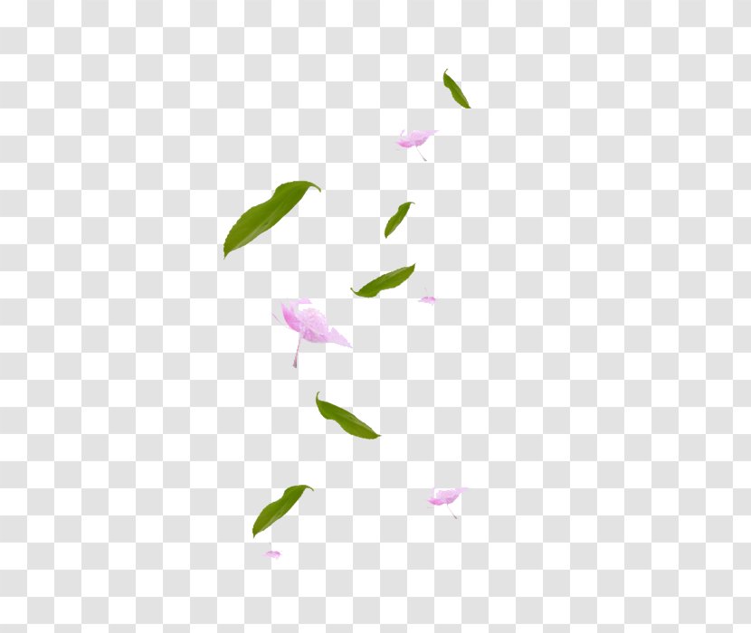 Maple Leaf Petal Green - Google Images - Falling Petals Transparent PNG