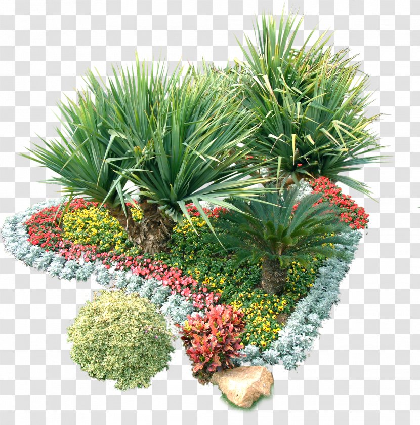 Garden Shrub Plant - Landscaping Transparent PNG